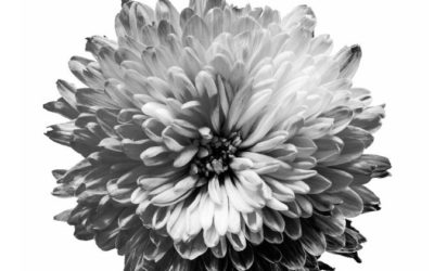 Monokromatija: sivi tonovi