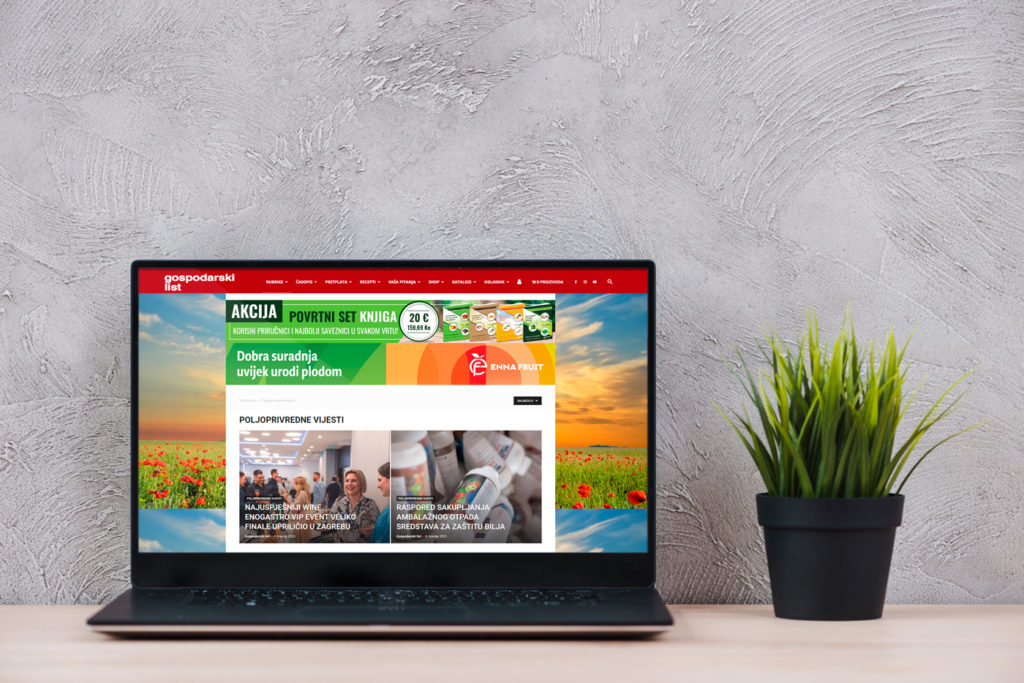 Web design and its maintenance for Gospodarski list