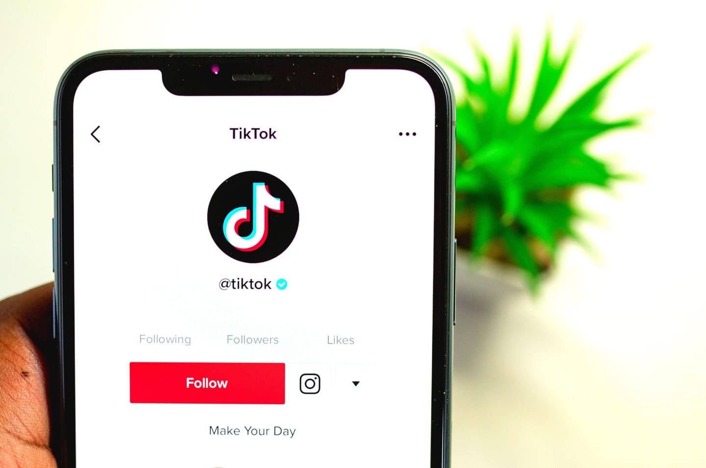 TikTok računi za dizajnerski fyp