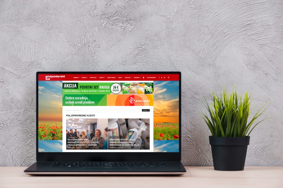 Web design for Gospodarski list